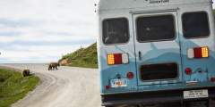 Denali Backcountry Adventure