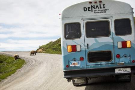 Denali Backcountry Adventure