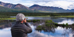 Denali Photo Guides