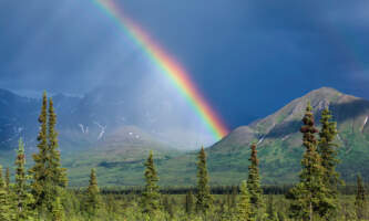 DPG Denali Excursion 3 Bethany Boyd Denali Photo Guidesalaska org untitled