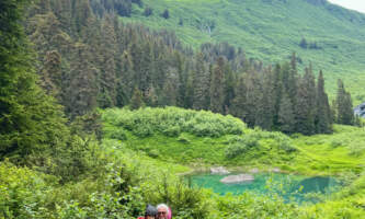 Full Size Render 12025alaska org untitled