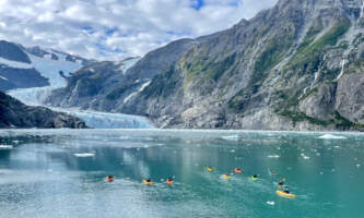IMG 30462025alaska org untitled