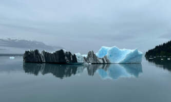 IMG 38572025alaska org untitled