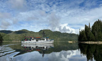 IMG 42632025alaska org untitled