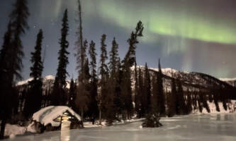 Discovery voyages hugh rose IMG 20241202 110346 2 Arctic Aurora Prince William Soundalaska org untitled