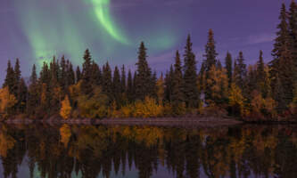 Discovery voyages hugh rose ak145dmk32 4653 Arctic Aurora Prince William Soundalaska org untitled