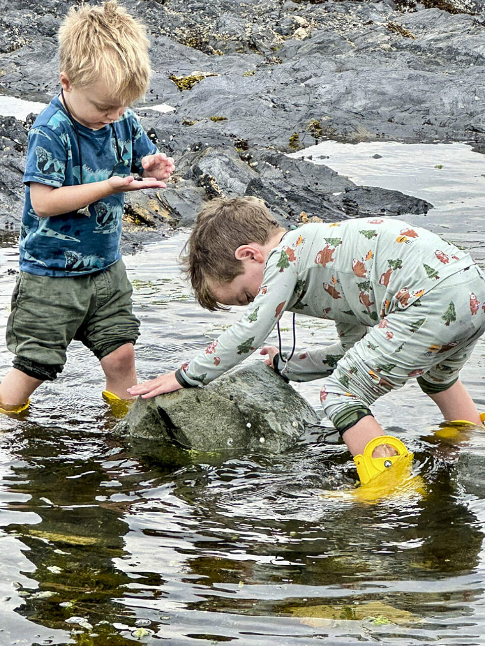Two toddler boys play in the water at low tide in Ketchikan, Alaska