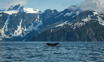 DCL0404 Andrew Harpster Expedition Northwestalaska org expeditions northwest