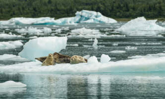 DCL1461 Andrew Harpster Expedition Northwestalaska org expeditions northwest