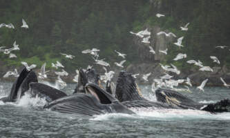 DSC 1425 Enhanced NR Andrew Harpster Expedition Northwestalaska org expeditions northwest