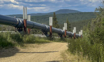 Fairbanks Snow Sleighers ATV Tours atv 4