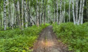 Fairbanks Snow Sleighers ATV Tours atv 7