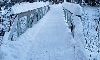 Fairbanks Snow Sleighers Snowmobile Tours 6