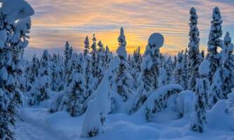 Fairbanks Snow Sleighers Snowmobile Tours 10