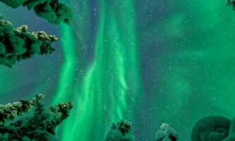 Fairbanks Snow Sleighers Snowmobile Tours 19