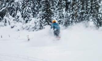 Fairbanks Snow Sleighers Snowmobile Tours 43