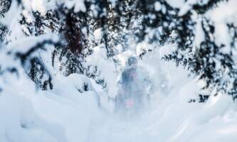 Fairbanks Snow Sleighers Snowmobile Tours 45