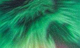 Fairbanks Snow Sleighers Snowmobile Tours 49