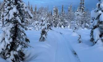 Fairbanks Snow Sleighers Snowmobile Tours 52