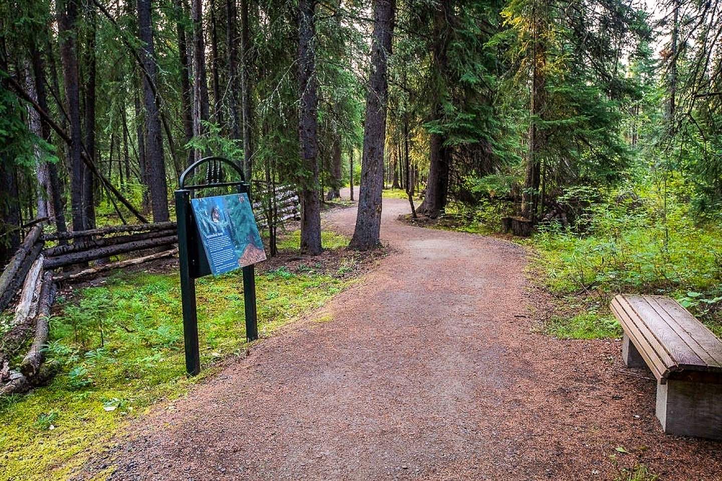 A serene forest path with a bench and an interpretive sign.