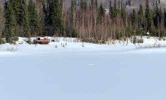 Fairbanks fountainhead wedgewood wildlife sanctuary WW SANC Alaska Org Listing 0001 Levels 1