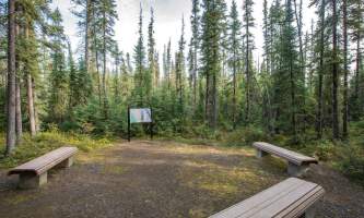 Fairbanks fountainhead wedgewood wildlife sanctuary WW SANC Alaska Org Listing 0008 7 3119 Fnthd Sanctuary 131