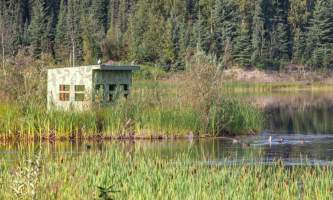 Fairbanks fountainhead wedgewood wildlife sanctuary WW SANC Alaska Org Listing 0011 7 3119 Fnthd Sanctuary 076