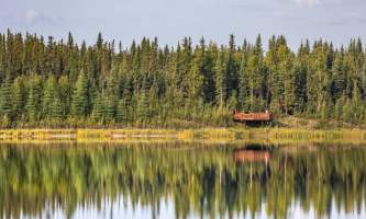 Fairbanks fountainhead wedgewood wildlife sanctuary WW SANC Alaska Org Listing 0012 7 3119 Fnthd Sanctuary 073