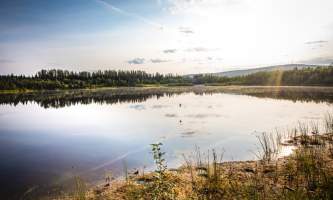 Fairbanks fountainhead wedgewood wildlife sanctuary WW SANC Alaska Org Listing 0015 7 3119 Fnthd Sanctuary 025