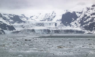 Glacier Bay Day Tour 6