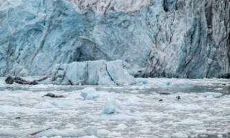 Glacier Bay Day Tour 7