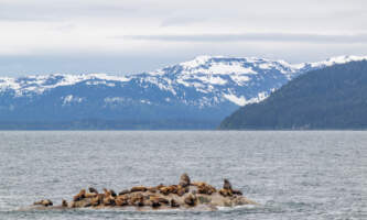 Glacier Bay Day Tour 8