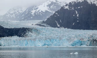 Glacier Bay Day Tour 15