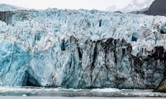 Glacier Bay Day Tour 16