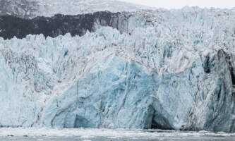 Glacier Bay Day Tour 17