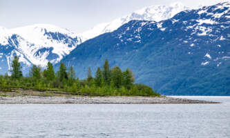 Glacier Bay Day Tour 18