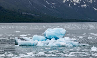 Glacier Bay Day Tour 20