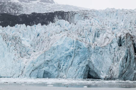 Glacier Bay Day Tour