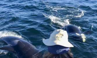 Glacier Wind Charters twin cow orca under boat