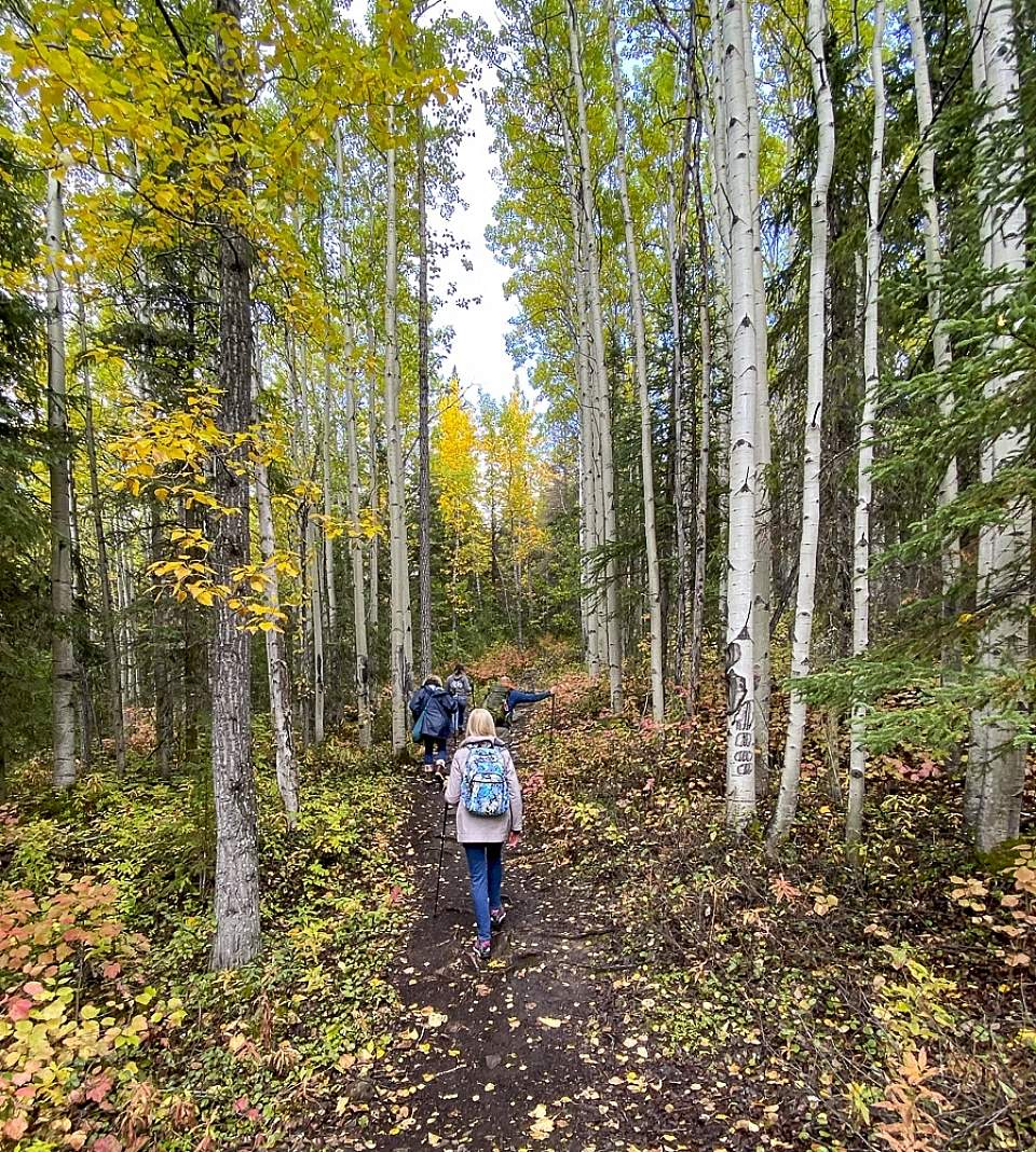 Hike the valley and forests of Eagle River Nature Center