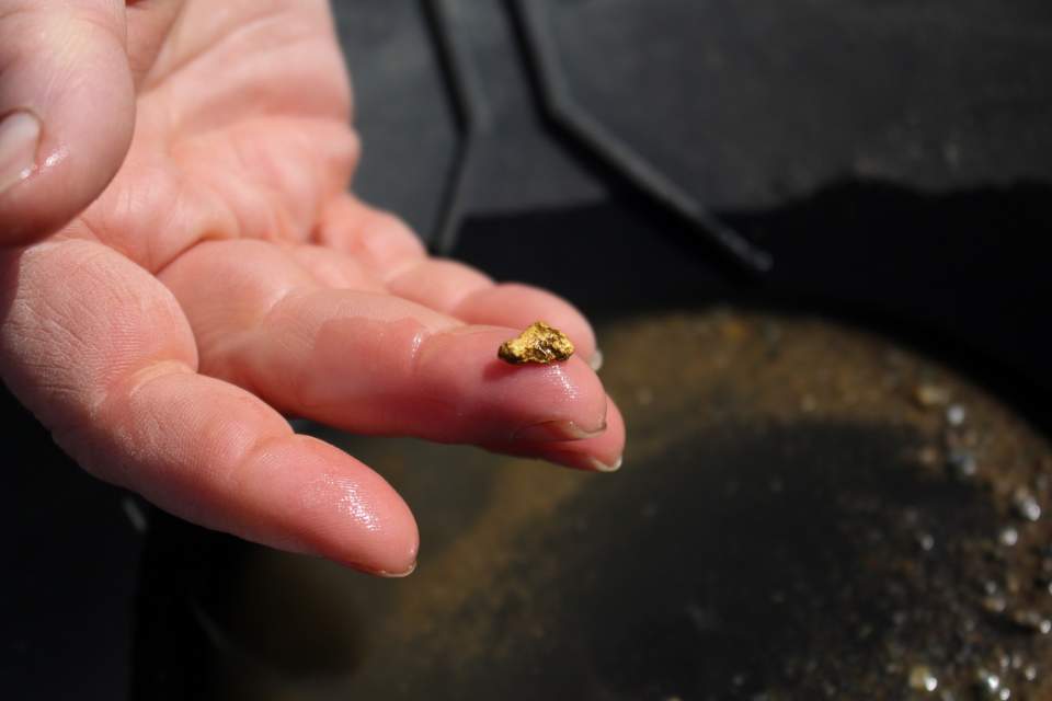 A close up of a small gold nugget on the tip of someone's finger.