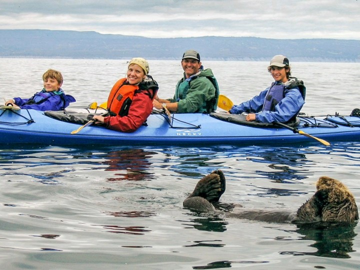 A family kayaks on the water while an otter plays close by.