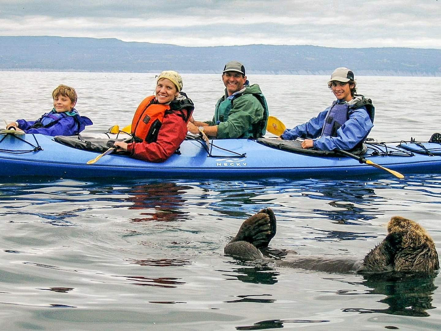 A family kayaks on the water while an otter plays close by.