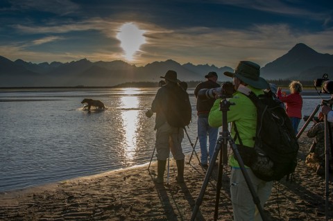 Bear Camp offers a front-row VIP experience to viewing bears in the wild, directly from the camp that holds just 14 people.