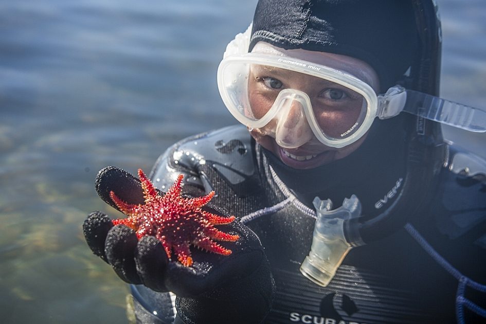 Snorkel Alaska | Tour in Ketchikan, Alaska | ALASKA.ORG