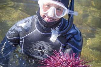 Fred Drake Cassie Sea Urchin
