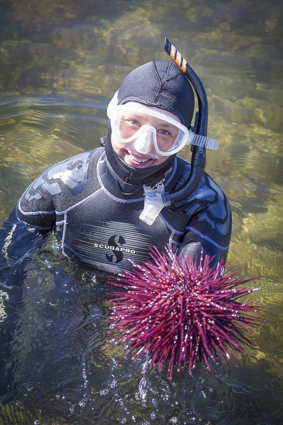 Get up-close to unique sea creatures with Snorkel Alaska in Ketchikan