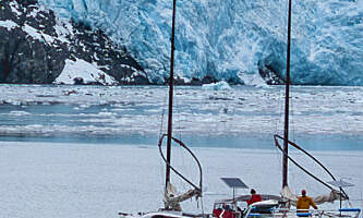 Happy Puffin Tours alaska Dot Orgad Bg Photo Dan Alfalla