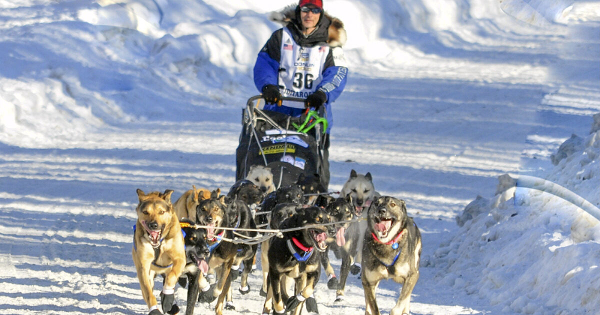 Happy Trails Kennel Dog Sled Tours | Big Lake, Alaska | ALASKA.ORG