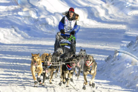 Happy Trails Kennel Dog Sled Tours